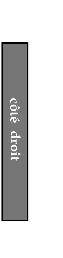 Cote oo99